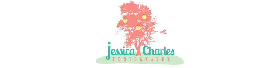 Jessica Charles Photography, Sarasota Florida Photographer | Florida Wedding Photographer | Tampa Wedding Photographer logo